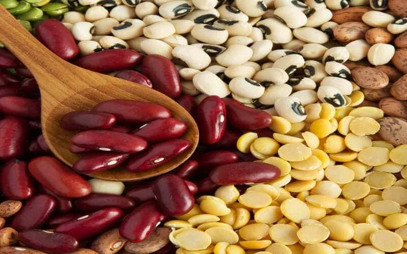 Trào ngược dạ dày nên ăn gì? 10 thực phẩm vàng giúp làm dịu cơn đau hiệu quả